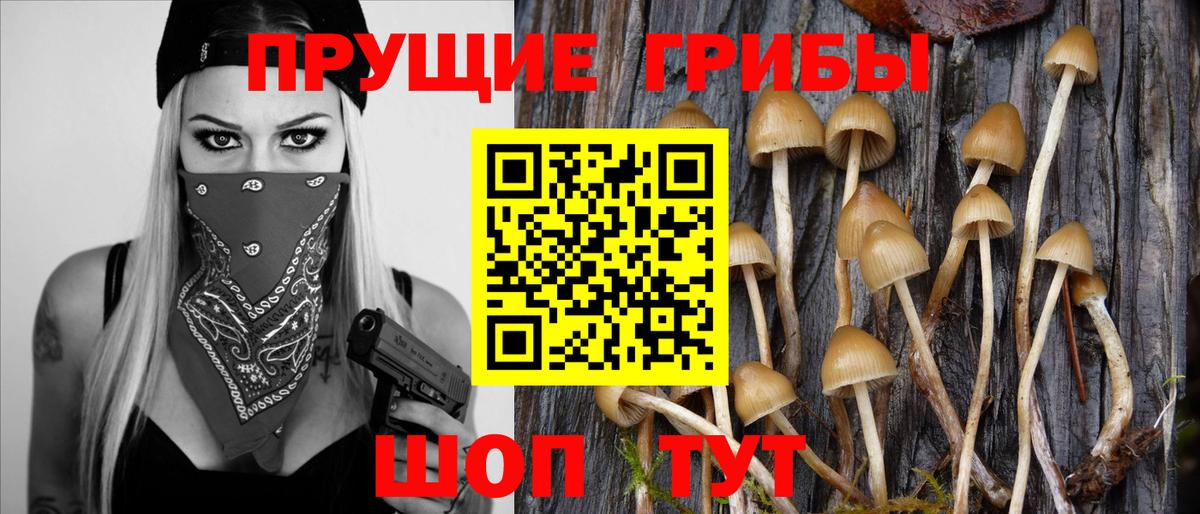 Псилоцибиновые грибы MAGIC MUSHROOMS  Вход с VPN  Тольятти  Псилоцибиновые грибы GOLDEN TEACHER 