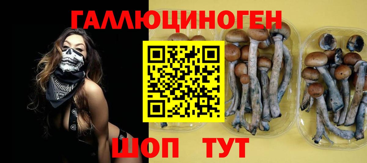 Галлюциногенные грибы мицелий Тольятти